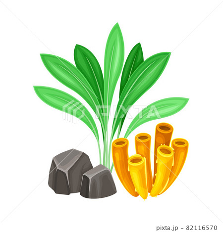 Sea Coral and Algae Growing on the Ocean Bottom and Stone Vector Composition 82116570