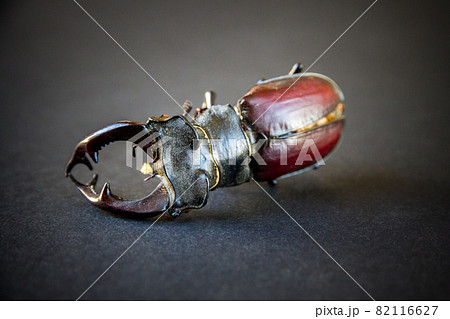 European stag beetle on black background 82116627