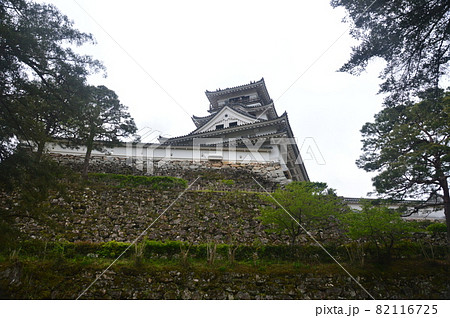 高知城（高知県高知市） 82116725