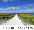 白い貝殻の道(北海道稚内市) 白い貝殻の道(北海道稚内市) 82117470