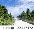 白い貝殻の道(北海道稚内市) 白い貝殻の道(北海道稚内市) 82117472