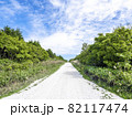 白い貝殻の道（北海道稚内市） 82117474