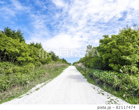 白い貝殻の道（北海道稚内市） 82117474