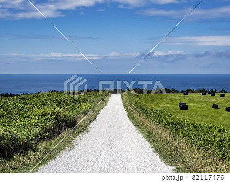 白い貝殻の道(北海道稚内市) 白い貝殻の道(北海道稚内市) 82117476
