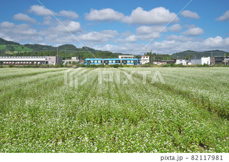 ソバ畑にLRV ソバ畑にLRV 82117981