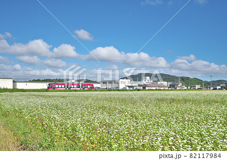 ソバ畑にLRV 82117984