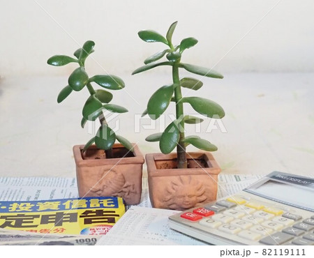 お金と「カネの成る木」という名の観葉植物 お金と「カネの成る木」という名の観葉植物 82119111