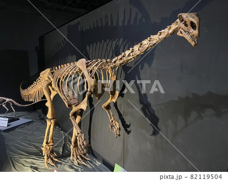 子供と大迫力の恐竜展に行こう！ 82119504