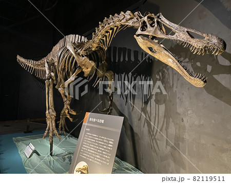 子供と大迫力の恐竜展に行こう！ 82119511