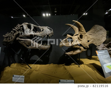 子供と大迫力の恐竜展に行こう！ 82119516