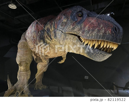 子供と大迫力の恐竜展に行こう！ 82119522