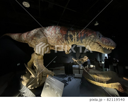 子供と大迫力の恐竜展に行こう! 子供と大迫力の恐竜展に行こう! 82119540