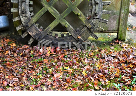 紅葉の落ち葉と水車の歯車 紅葉の落ち葉と水車の歯車 82120072