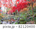 芝公園 82120400