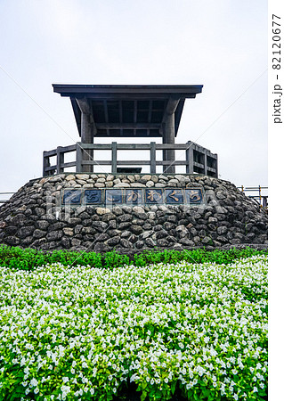 関越自動車道　信濃川を一望できる越後川口サービスエリアの花壇（新潟県長岡市） 82120677