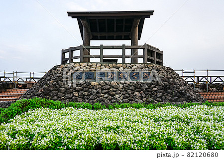 関越自動車道　信濃川を一望できる越後川口サービスエリアの花壇（新潟県長岡市） 82120680