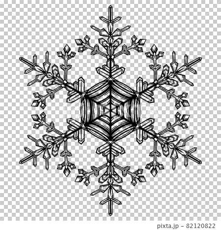 繊細な雪の結晶の線画 82120822