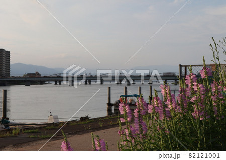 ハナトラノオの花と遊歩道と船と雲の多い空とぼんやり見える車の行き交う橋とアーチ橋と川とビルと山の風景 ハナトラノオの花と遊歩道と船と雲の多い空とぼんやり見える車の行き交う橋とアーチ橋と川とビルと山の風景 82121001