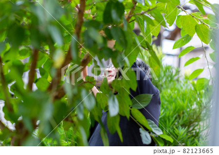 木の選定　ガーデニング 82123665