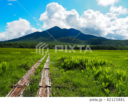 初夏の尾瀬ケ原から望む燧ヶ岳 初夏の尾瀬ケ原から望む燧ヶ岳 82123881