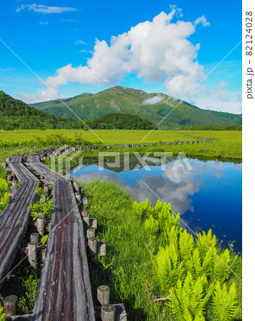 初夏の尾瀬ケ原から望む至仏山 初夏の尾瀬ケ原から望む至仏山 82124028