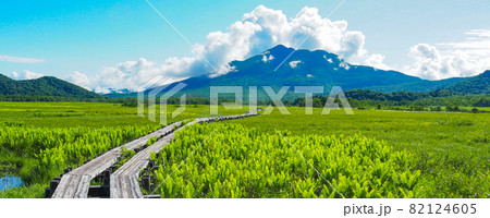 初夏の尾瀬ケ原から望む燧ヶ岳 初夏の尾瀬ケ原から望む燧ヶ岳 82124605