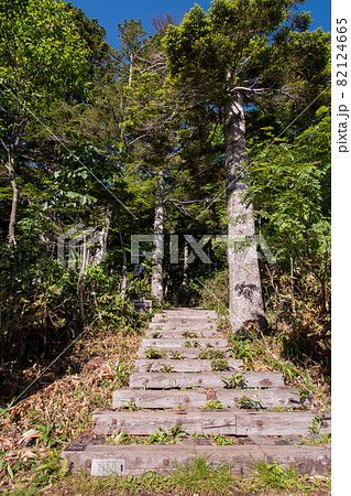 福島県南会津郡檜枝岐村にある尾瀬沼に行く玄関口の沼山峠の風景 福島県南会津郡檜枝岐村にある尾瀬沼に行く玄関口の沼山峠の風景 82124665
