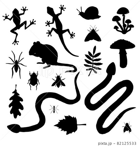 Vector set of hand draw rodent reptile and insect 82125533
