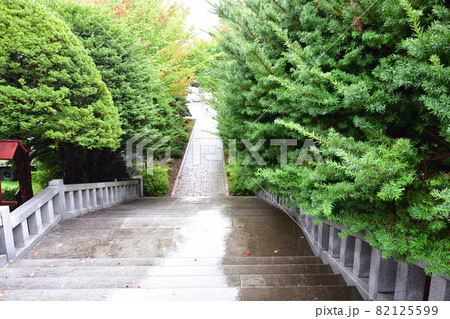 秋雨の中の北見神社 82125599