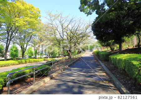 東京都立中川公園　A地区入り口　足立区中川　 82127561