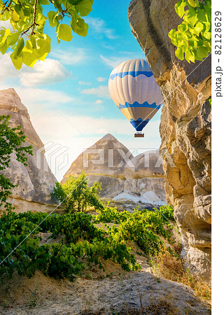 Balloon in the mountains 82128629