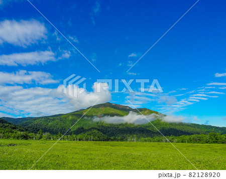 初夏の尾瀬ケ原から望む至仏山 初夏の尾瀬ケ原から望む至仏山 82128920