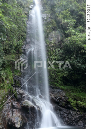 大樽の滝　高知県の名瀑　夏　（越知町）	 82129017