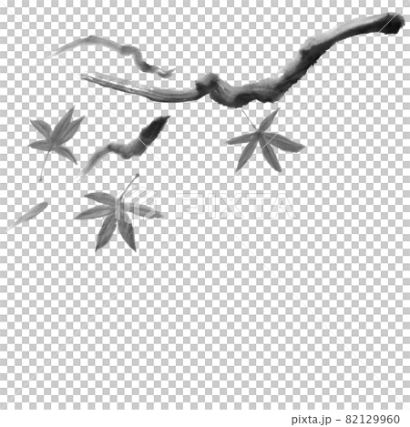Illustration of maple and branches (hand-drawn illustration of ink) 82129960