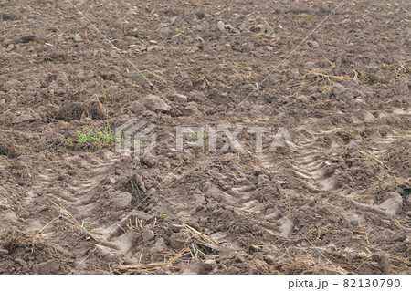 Vacant land for planting after plow. Vacant land for planting after plow. 82130790