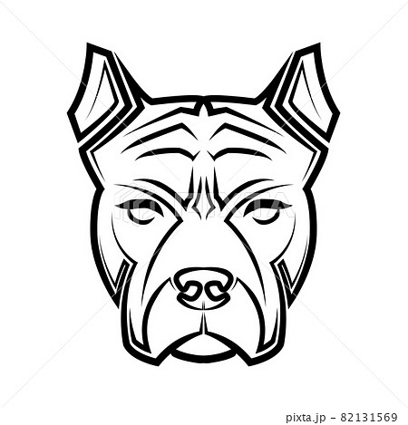 Tattoo Bulldog stock illustration Illustration of cartoon  11709083