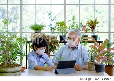 The retired grandfather spent the holiday with his grandson in greenhouse planting room, research ornamental plant on the Internet. Both wear face mask to protect them from the coronavirus outbreak. The retired grandfather spent the holiday with his grandson in greenhouse planting room, research ornamental plant on the Internet. Both wear face mask to protect them from the coronavirus outbreak. 82133907
