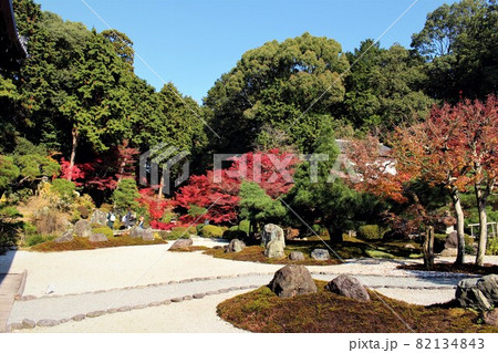金戒光明寺・紫雲の庭の紅葉 82134843