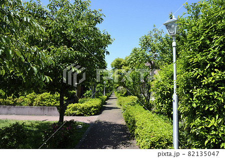 遊歩道　馬堀海岸団地　横須賀風物百選　 82135047