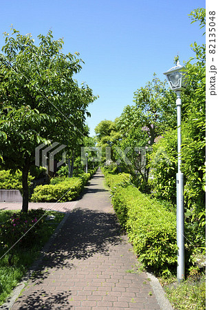 遊歩道　馬堀海岸団地　横須賀風物百選　 82135048