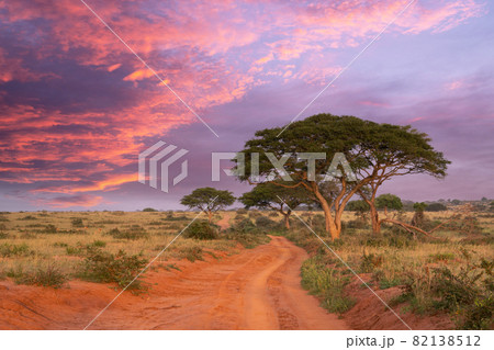 Sunrise, Uganda 82138512