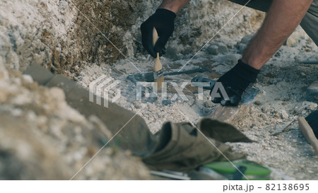 Crop archaeologist excavating dinosaur bones Crop archaeologist excavating dinosaur bones 82138695