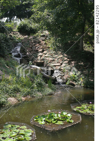 the little waterfall at the yuen long park 11 June 2005 the little waterfall at the yuen long park 11 June 2005 82142295