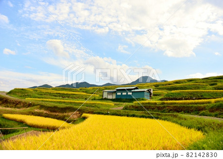 2021年　秋の姨捨棚田 82142830