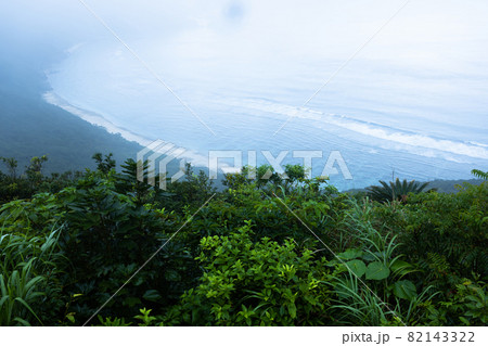 加計呂麻島のタカテルポイント 82143322