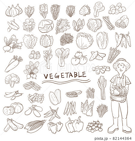 野菜　アイコン　手描き線画　素材セット 82144364