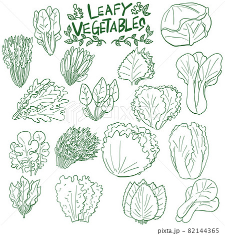 葉物野菜 アイコン 手描き線画 素材のイラスト素材