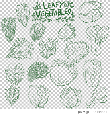 Leaf vegetable icon hand-painted line drawing material 82144365