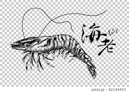 Illustration of prawns ――Transparent background ――Cut out 82144453