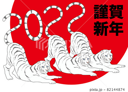 2022年 寅年の年賀状 ホワイトタイガー初日の出 2022年 寅年の年賀状 ホワイトタイガー初日の出 82144874